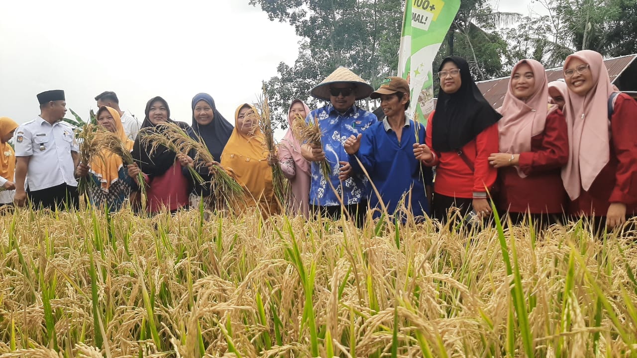 Cuaca Ekstrem di Kota Bengkulu