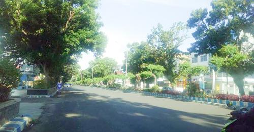 Pemantauan kondisi pohon musim hujan