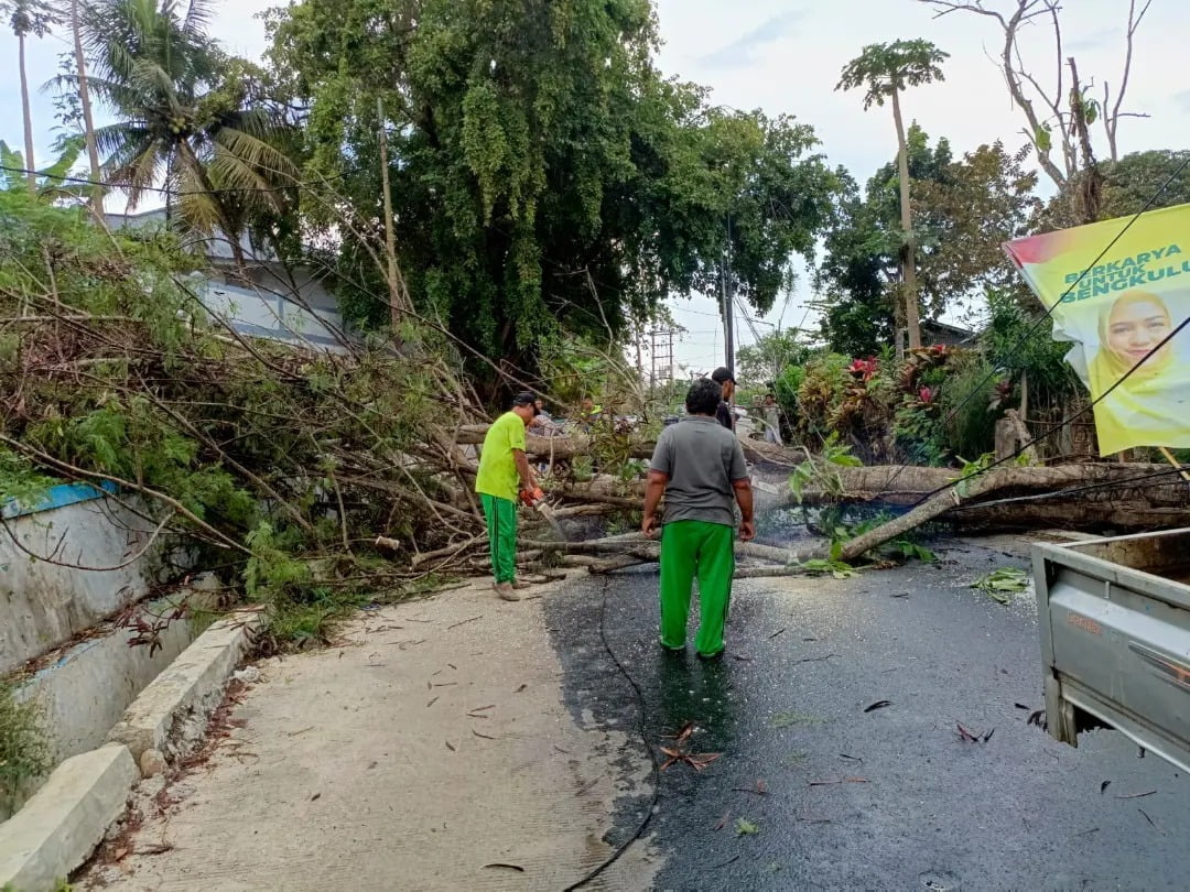 Cuaca Ekstrem Kota Bengkulu