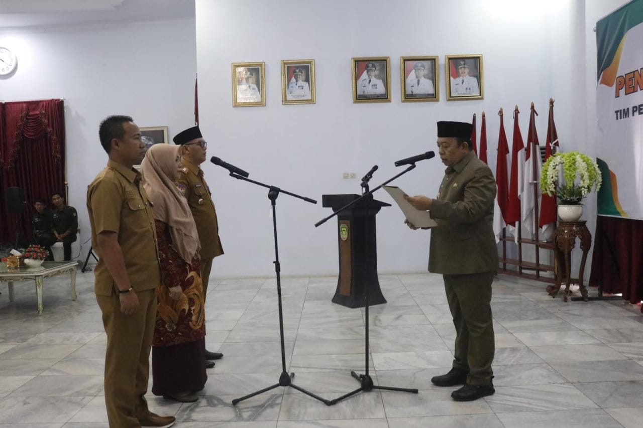 Tim Percepatan Akses Keuangan Daerah