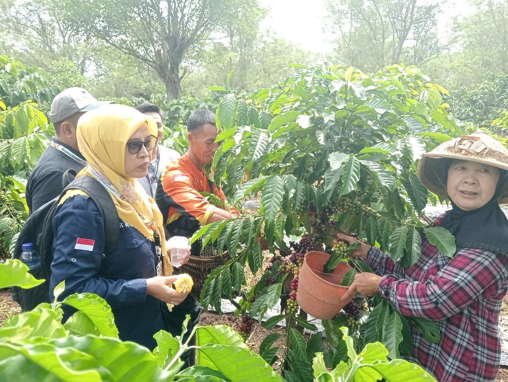 FEB Universitas Bengkulu