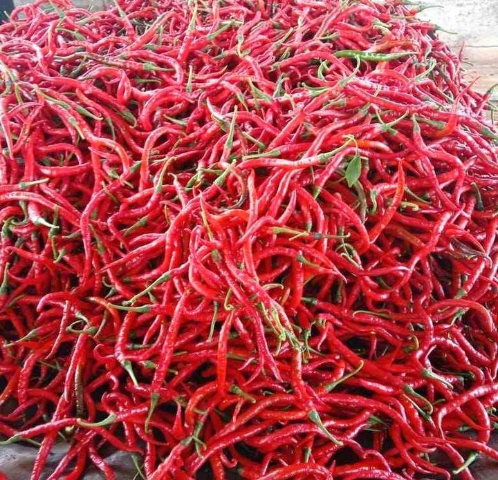 Lonjakan harga cabai Idul Adha