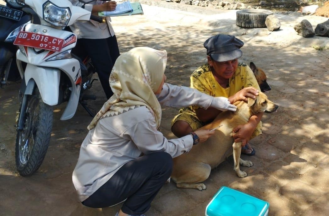Vaksinasi rabies hewan peliharaan