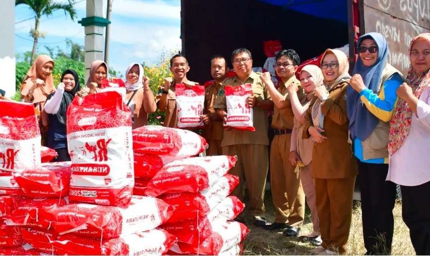 Benih Jagung Hibrida Unggul