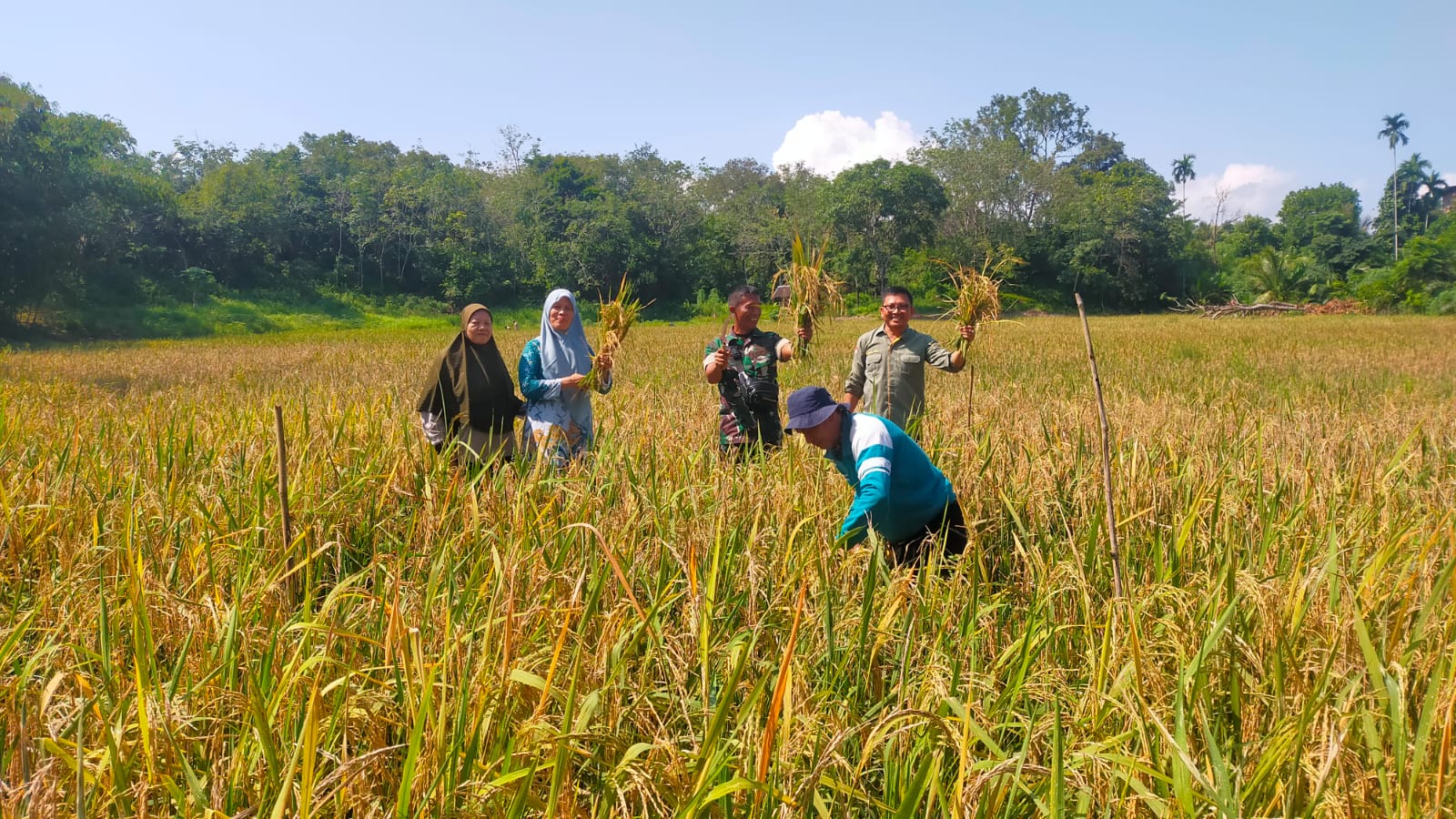 Panen Raya Desa Tengah Padang