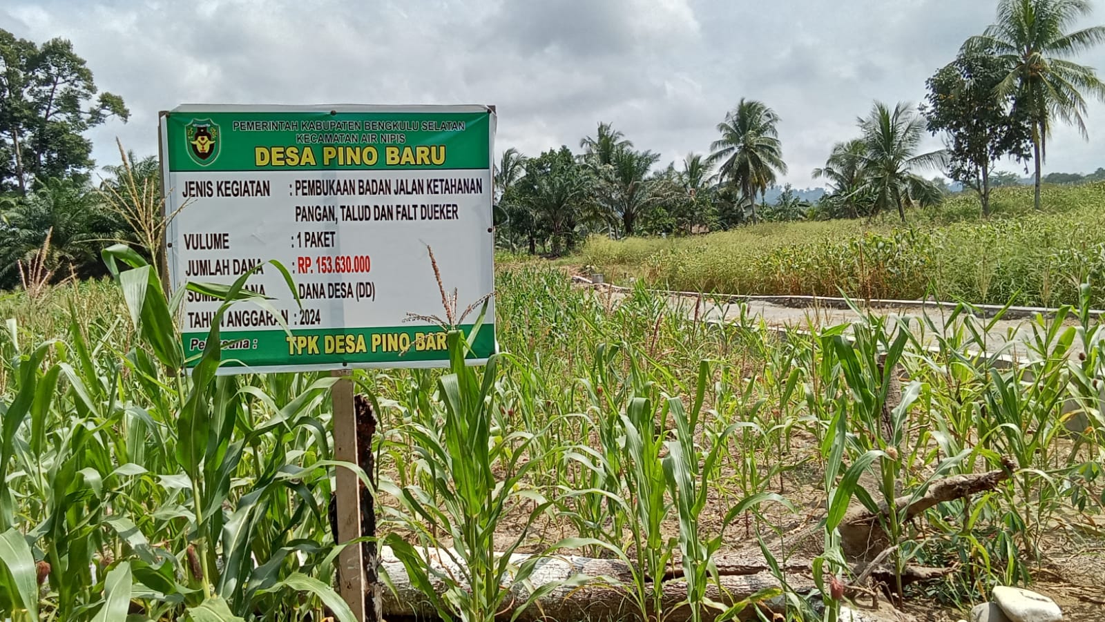Pembukaan badan jalan Desa Pino Baru