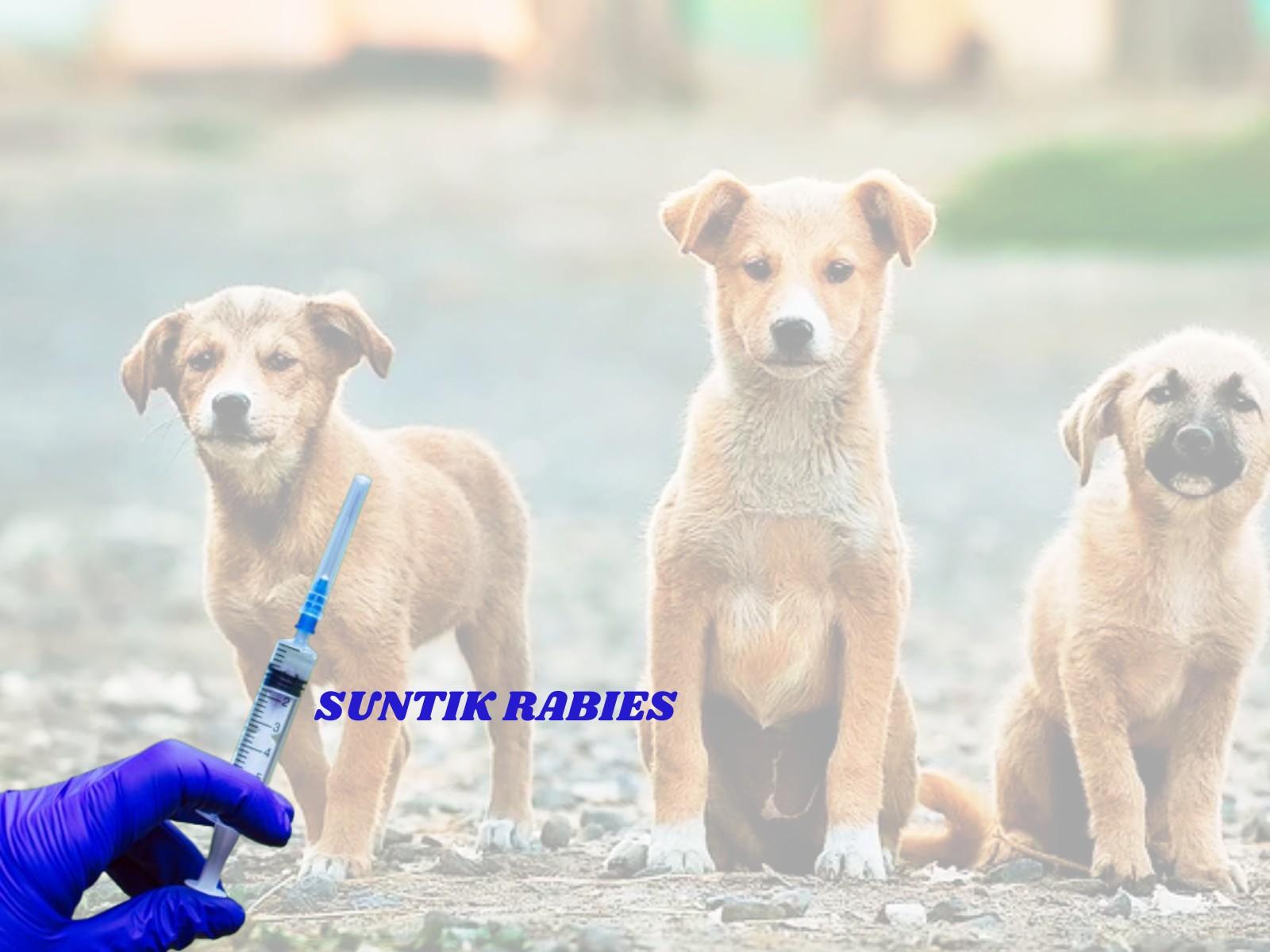World Rabies Day 2024