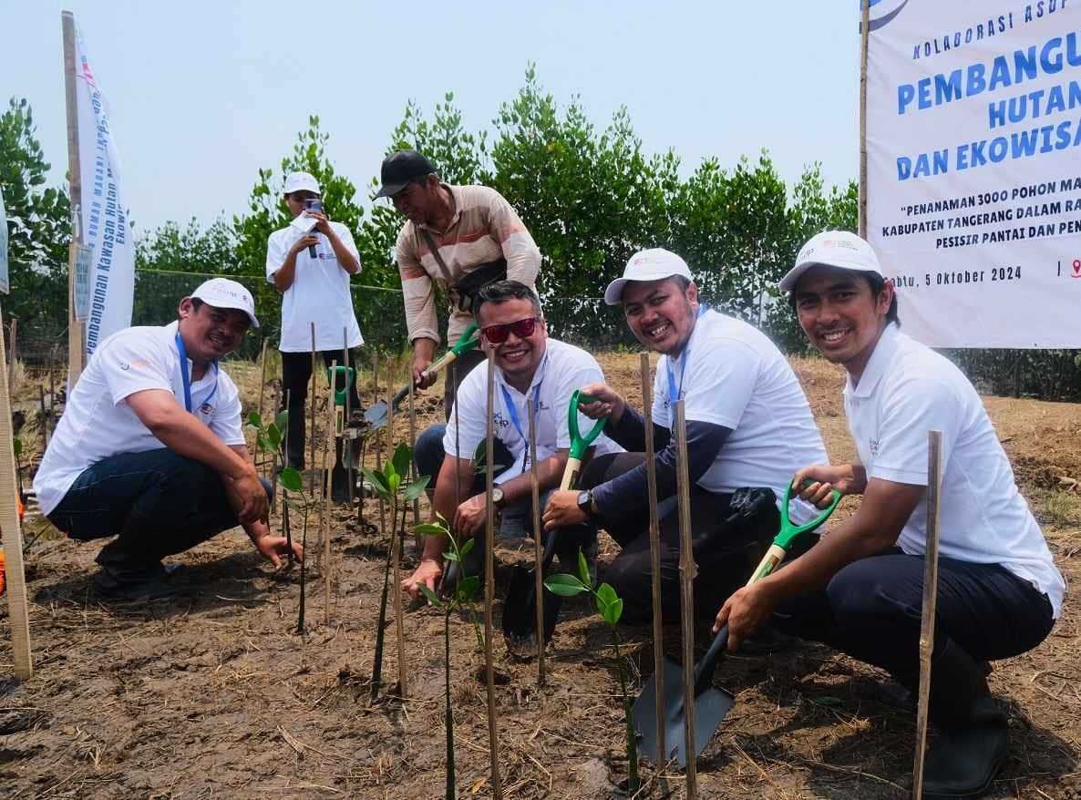 ASDP tanam mangrove