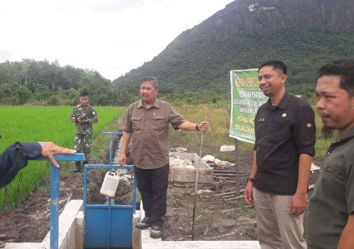 Program Optimasi Lahan Rawa Sintang 2024