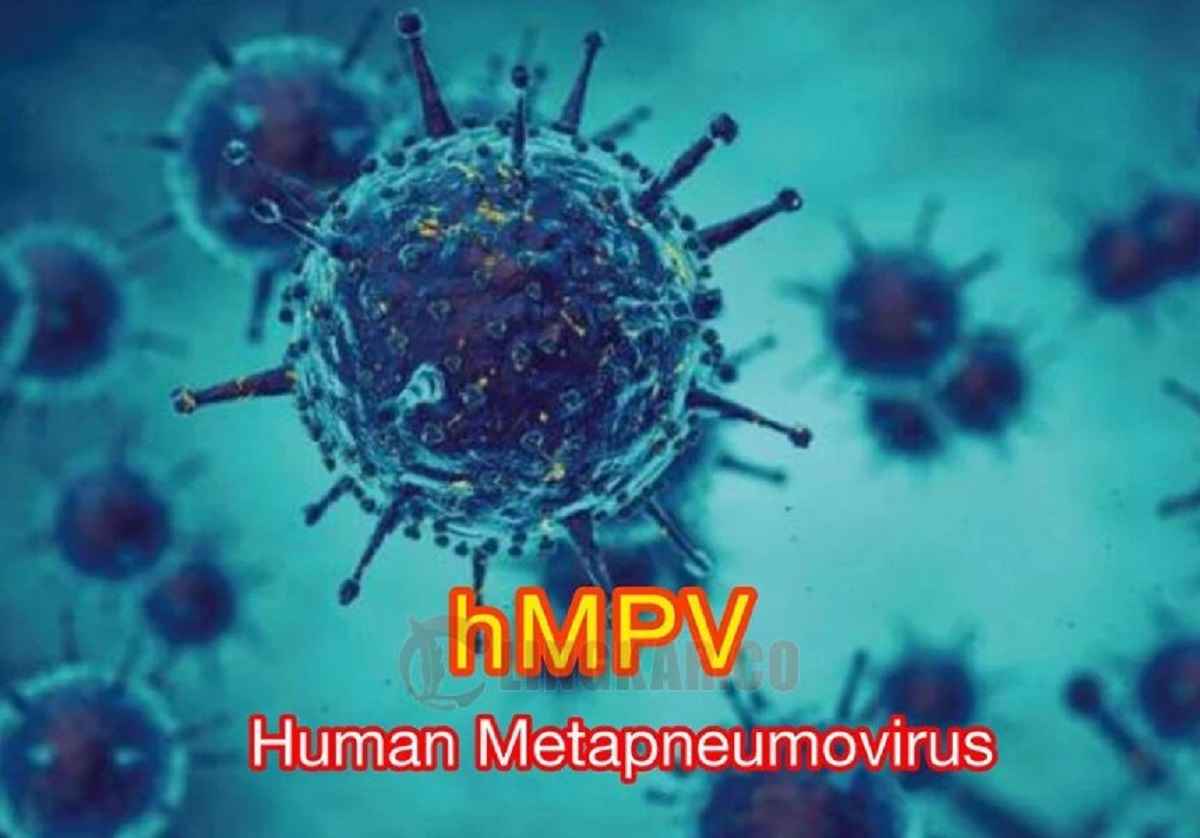 Human Metapneumovirus (HMPV)