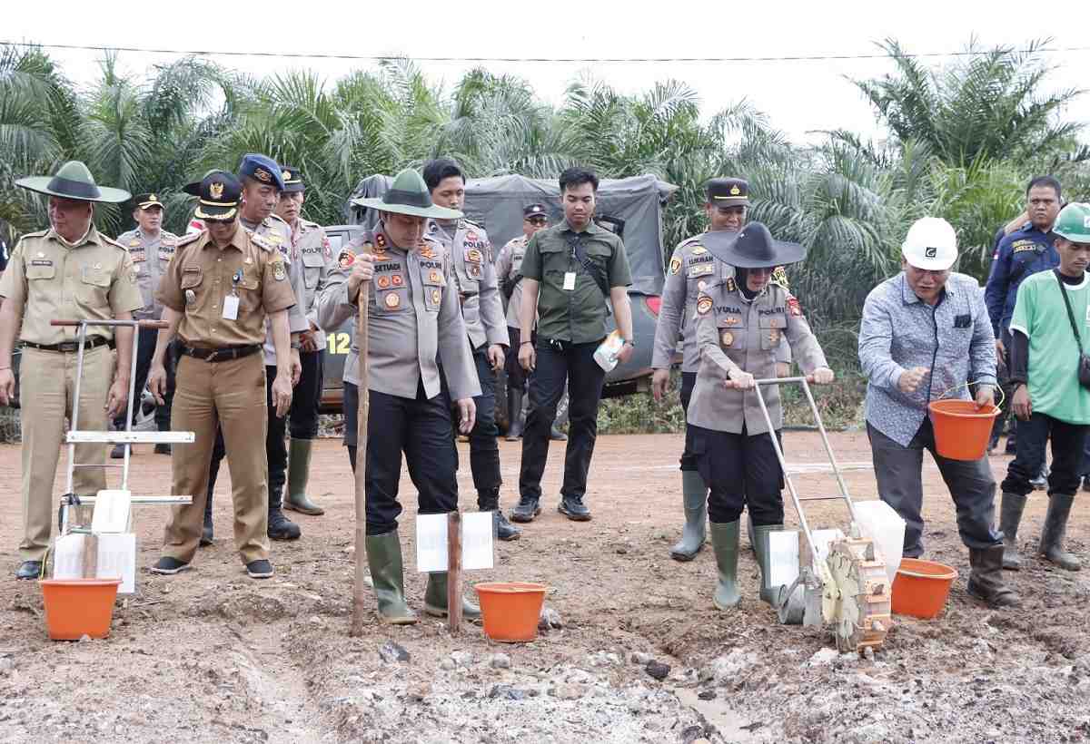 Penanaman Jagung Serentak 1 juta hektare