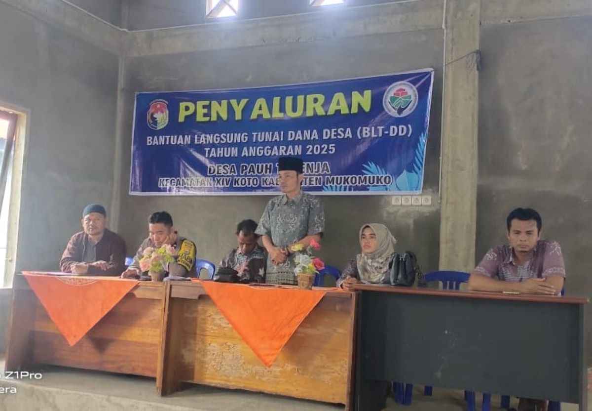 BLT-DD Pauh Terenja