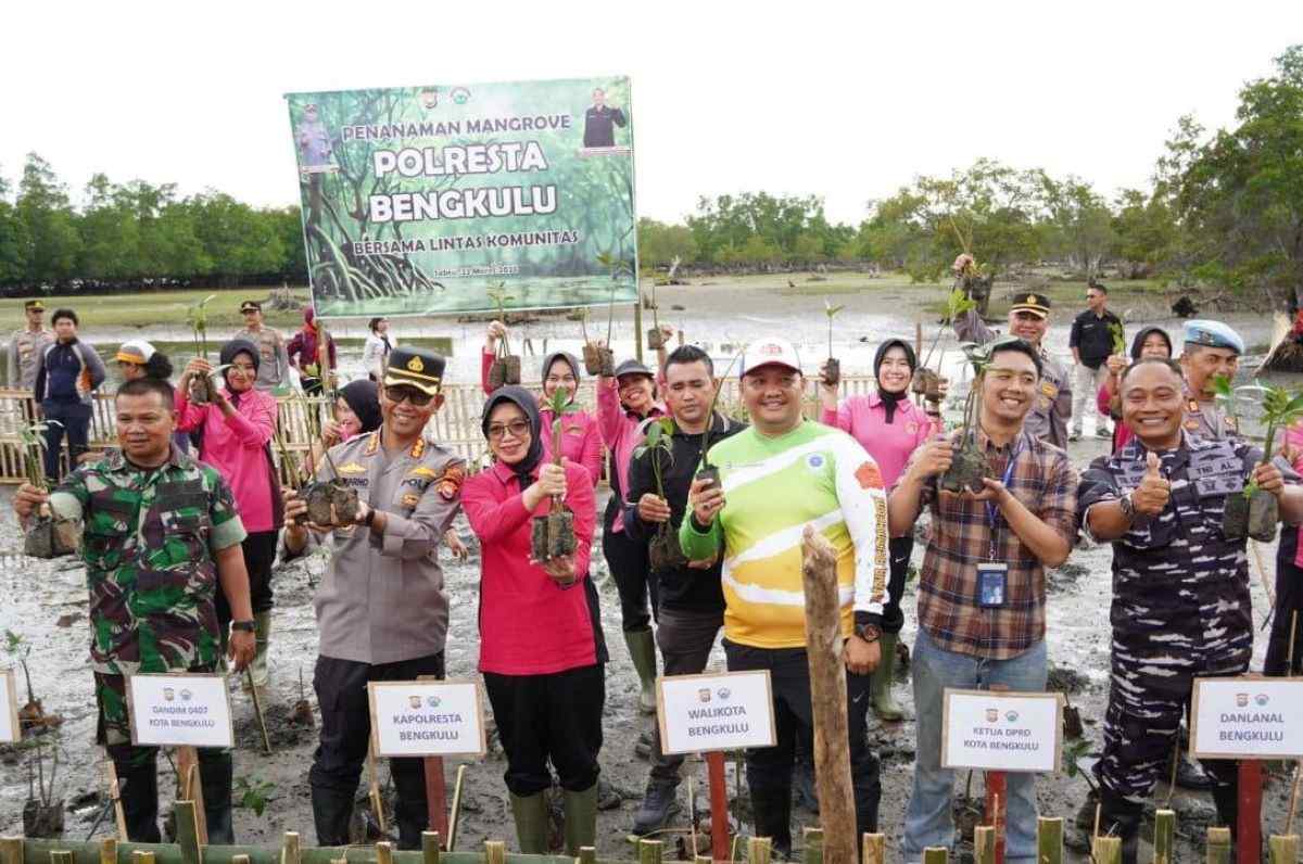 Tanam mangrove di Bengkulu