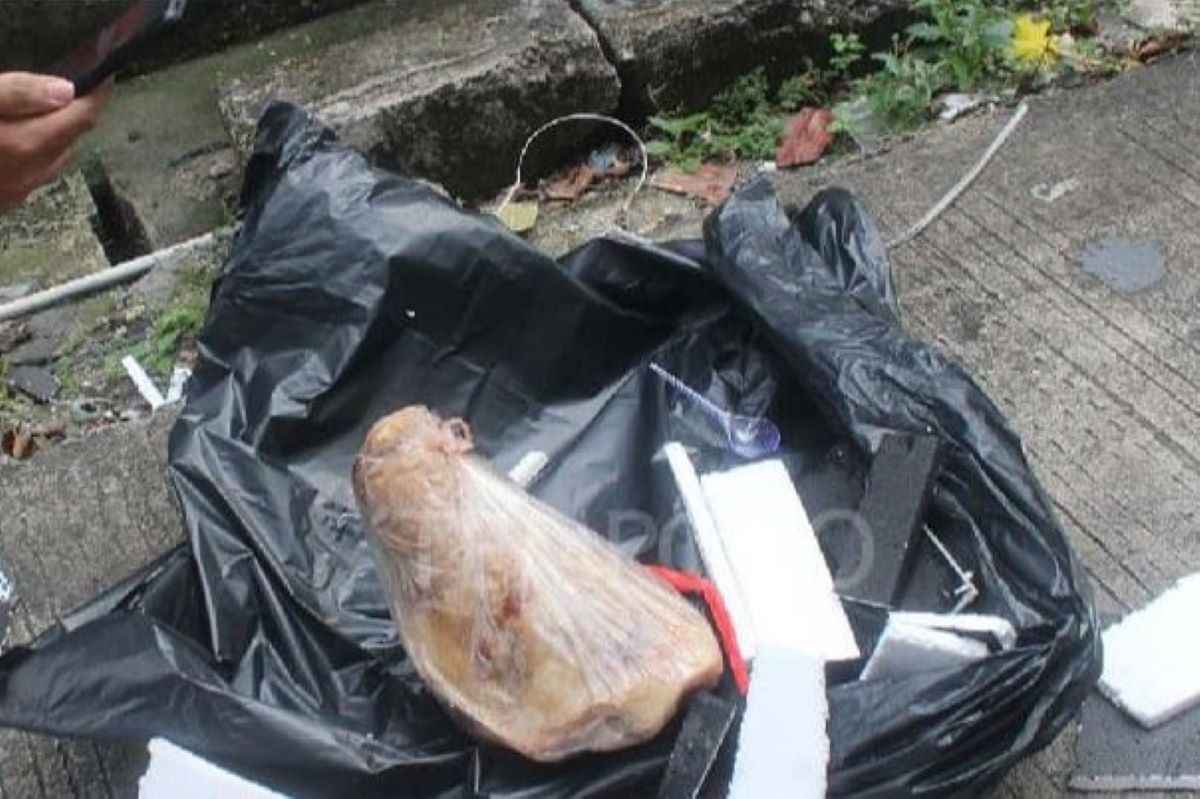 Teror Terhadap Jurnalis Tempo