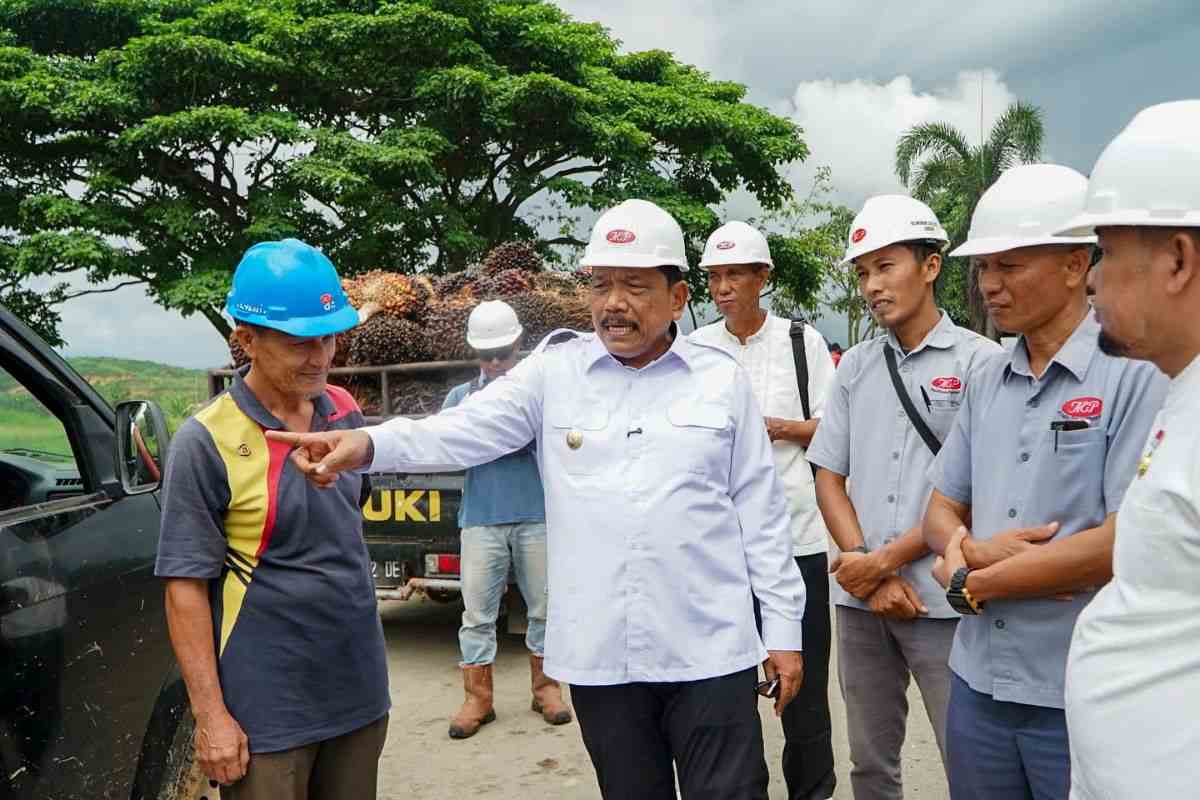 Harga TBS sawit Bengkulu