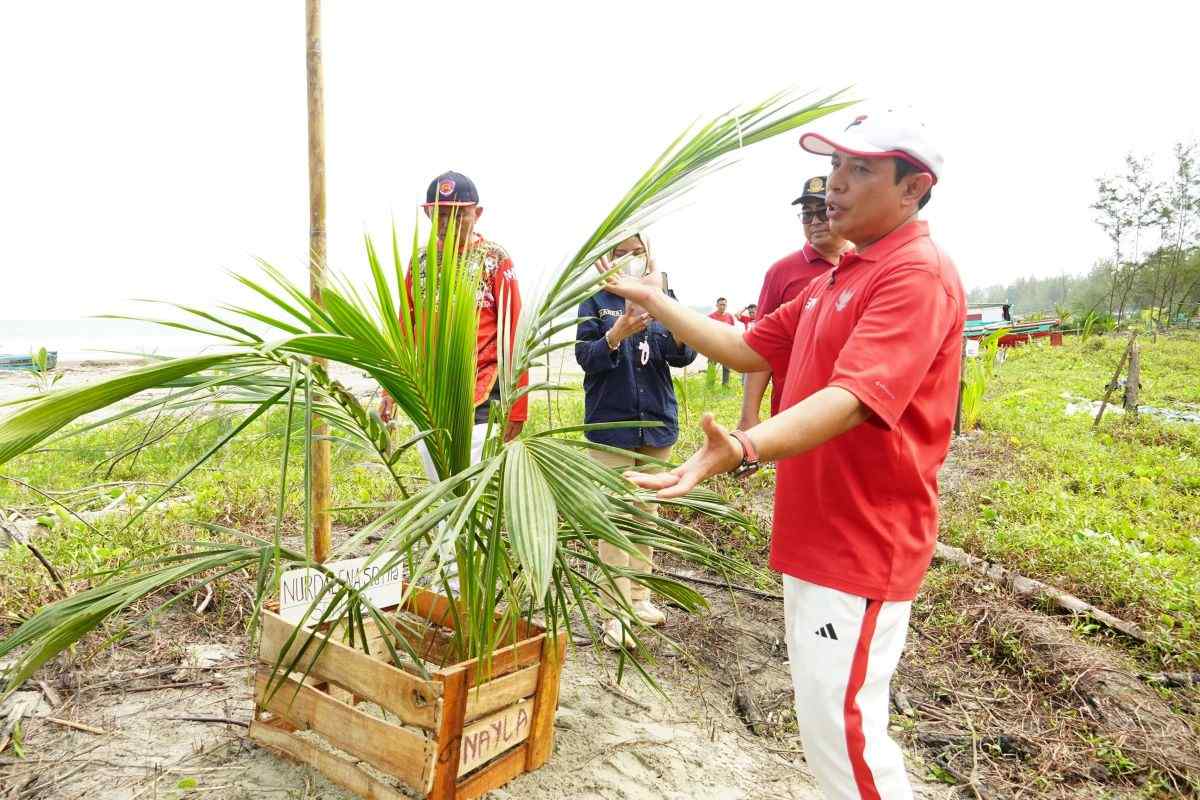 10.000 pohon kelapa Pantai Panjang