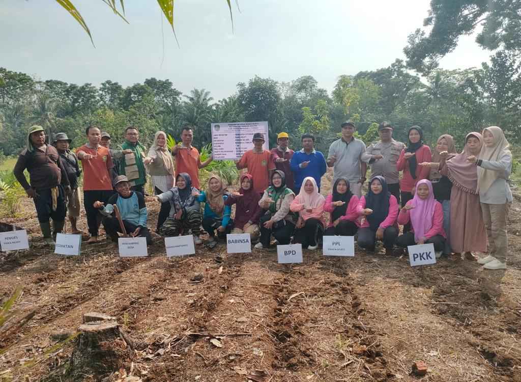 Program Tanam jagung