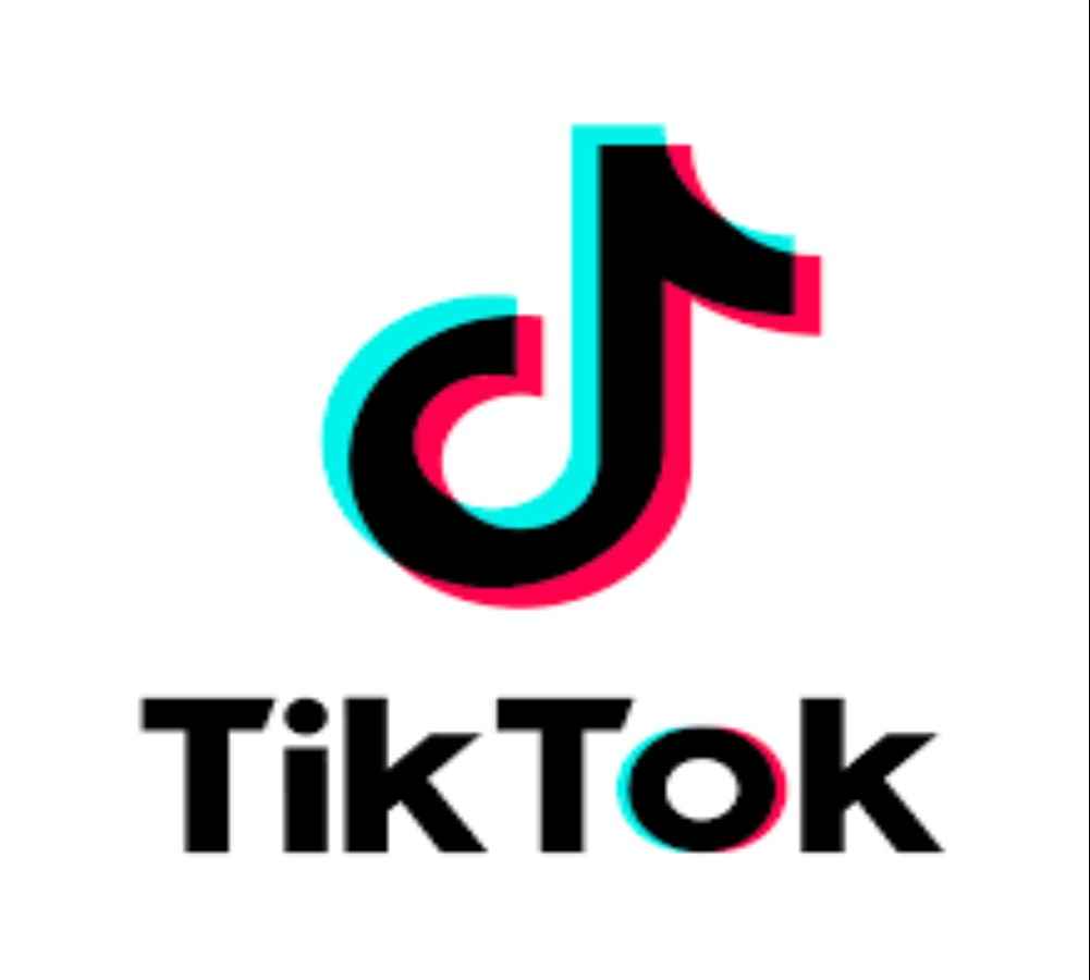 TikTok dibekukan pemerintah