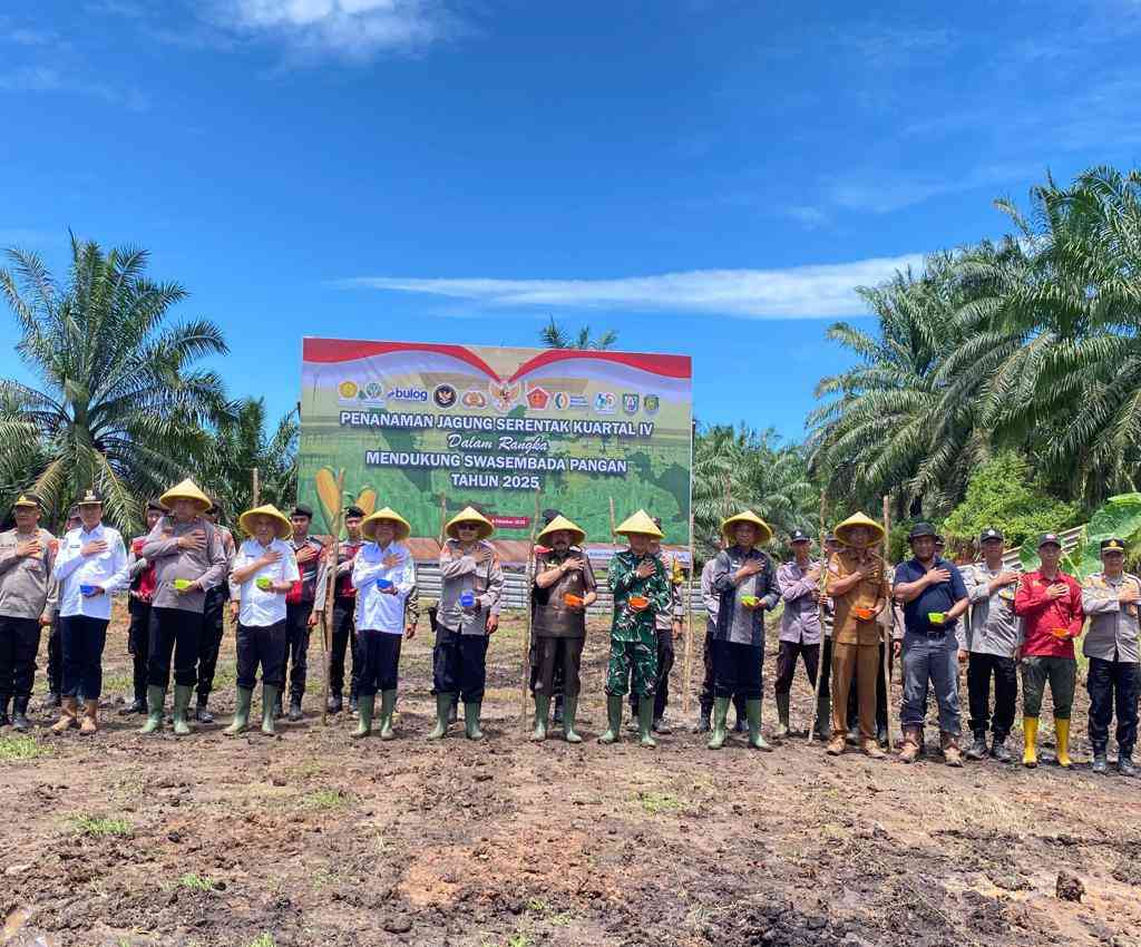 Penanaman Jagung Serentak