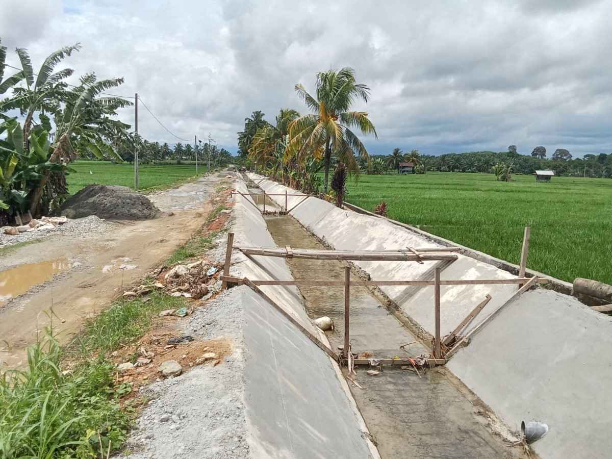 Program P3TGAI