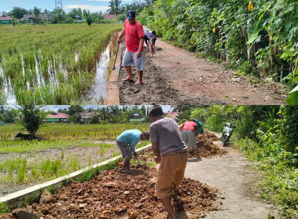 pembangunan jalan sentra produksi desa sukaraja bengkulu selatan